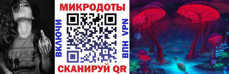 МЕГА Усть-Кут Псилоцибиновые грибы GOLDEN TEACHER